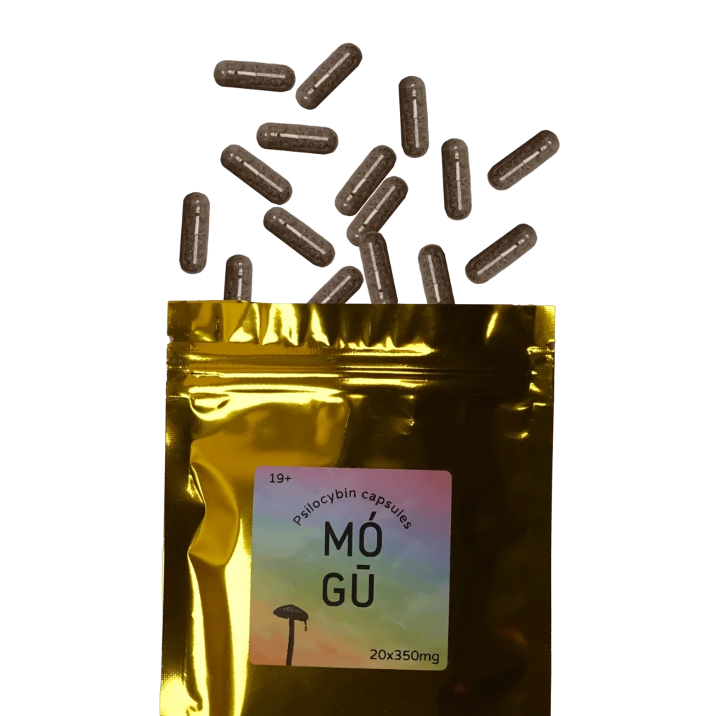 Magic Mushroom Capsules – 350mg – MOGU Psilocybin Co.