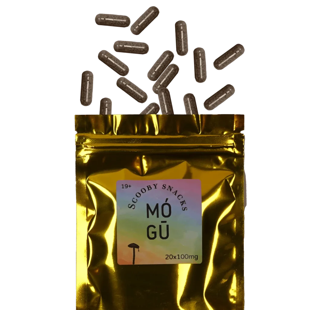 Magic Mushroom Capsules – 200mg – MOGU Psilocybin Co.