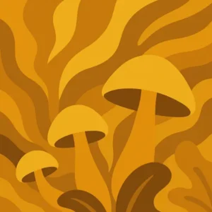 Mushrooms as Medicine? Psychedelics May Be Next Breakthrough Treatment