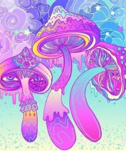 Hippie Flip Party Pack (4 LSD Tabs + 14g Magic Mushrooms)