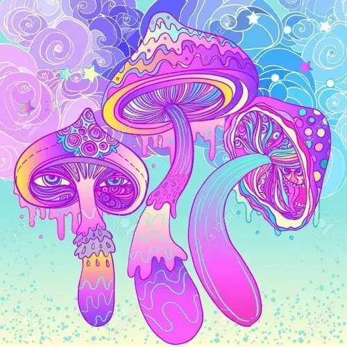 Hippie Flip (2 LSD tabs + 3.5g Dried Mushrooms)
